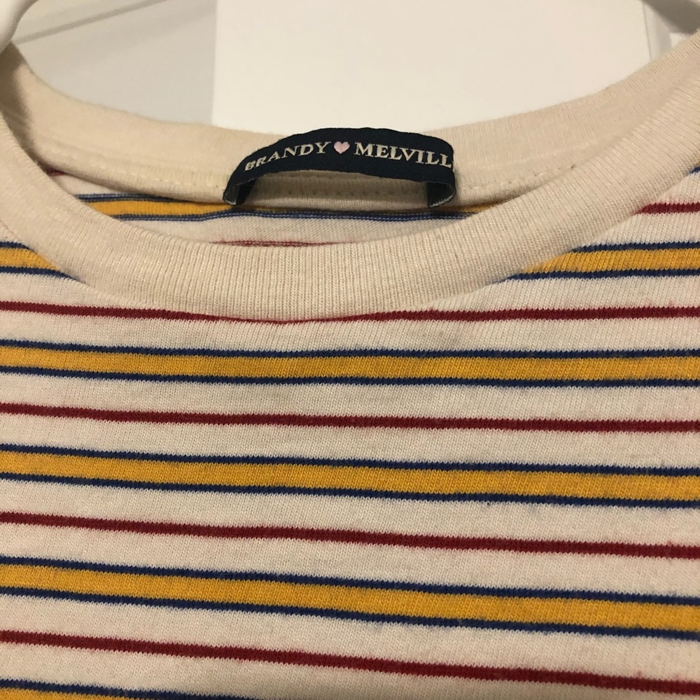 Brandy Melville Crop Top